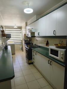 Kuchyň nebo kuchyňský kout v ubytování Espectacular departamento en Costanera de Villarrica