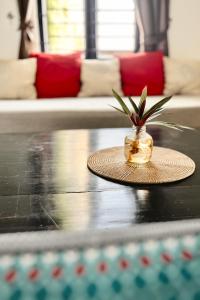 Et opholdsområde på Canopy Family Villa