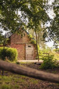 Zahrada ubytování AMANI - Aap