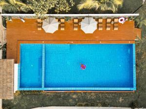 an overhead view of a blue swimming pool at Casa Verde Cliff Resort & Spa in Camotes Islands