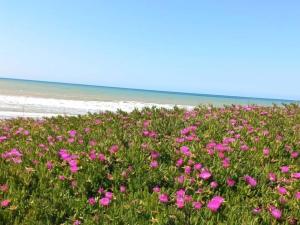 Φυσικό τοπίο κοντά σε αυτή η παραθεριστική κατοικία