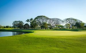 een groene golfbaan met een vijver en bomen bij Vidanta 2-bdrm Villa, in Nuevo Vallarta 
