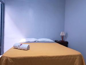 En eller flere senge i et værelse på Airport Nest Costa Rica Hotel