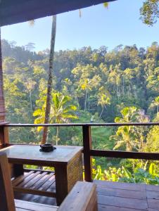 Příroda nedaleko ubytování v soukromí