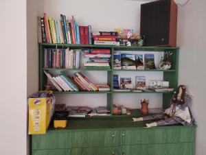 une étagère verte avec des livres dessus dans l'établissement Marina - Camp pod kaštany, à Morávka