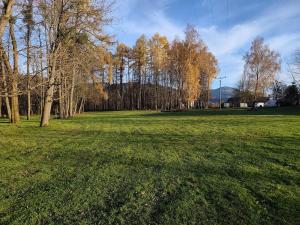 un champ d'herbe planté d'arbres en arrière-plan dans l'établissement Marina - Camp pod kaštany, à Morávka