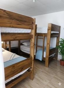 een kamer met 2 stapelbedden en een potplant bij la punta nueva en Camaná in La Punta