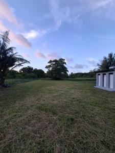 a large field with a house and a palm tree at Guesthouse Sungai Musoh in Pengerang