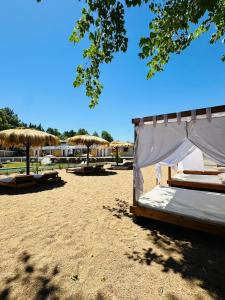 Billede fra billedgalleriet på Complejo Bosque Escondido i Huacamalá + 16 billeder