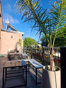 a patio with benches and tables and a palm tree at Complejo Viri Viri - Gualeguaychú in Gualeguaychú