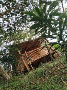 a tree house in the middle of some trees at Cabaña Campestre - La Gloria in Guadalupe