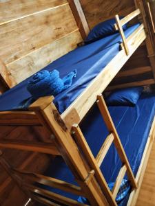 a bunk bed with a blue stuffed animal on it at Cabaña Campestre - La Gloria in Guadalupe