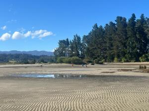 Afbeelding uit fotogalerij van Artist Retreat A Stay for Couples and Creatives in Riwaka