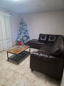 Ảnh trong thư viện ảnh của Résidence J'aime ở Laval +12 ảnh