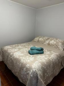 En eller flere senge i et værelse på COMODO Y AMPLIO DEPARTAMENTO, Temuco + 3 billeder