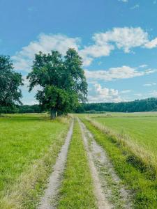 Naturlandskabet i nærheden af feriehuset