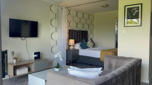 a bedroom with a bed and a couch and a tv at MANDITAZ STUDIO in Fourways +7 photos