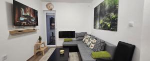 un soggiorno con un divano e una TV di Anikaapartman, Brzeće a Brzeće Altre 15 foto