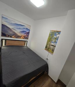 a small bedroom with a bed and a window at Anikaapartmani, Brzeće in Brzeće