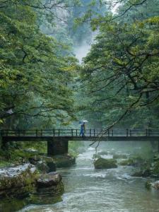 Naturlandskabet i nærheden af hotellet