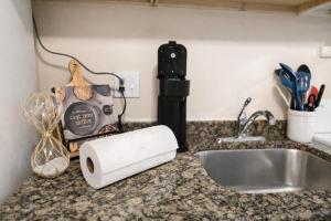 een aanrecht met een wastafel en een rol papieren handdoeken bij Downtown Ann Arbor Walk to Stadium, Medical Center, UM in Ann Arbor