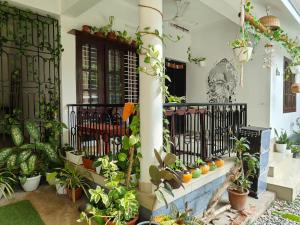 Zahrada ubytování Shamak Homestay Varkala + 31 fotografií