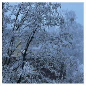 a tree covered in snow in front of a house at Studio Homebase in Spittal an der Drau