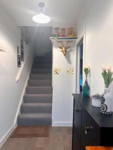 a staircase in a home with a blue stair at Redheema in Lower Sydenham Station