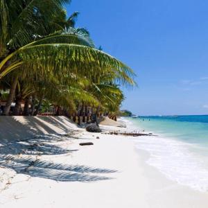 a beach with palm trees and the ocean at Iwayan Beach Resort in Panglao Island