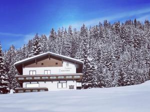 un edificio di fronte a una foresta innevata di Pension Panorama Warth a Lechleiten