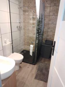 Koupelna v ubytování Małopolskie Swojskie