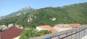 Blick auf einen Berg mit Bäumen und Gebäuden in der Unterkunft Rent Room Joe in Solarino