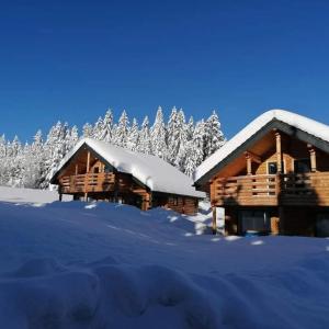 een blokhut in de sneeuw met sneeuw bedekte bomen bij Trahütti Premium Lodges in Trahütten