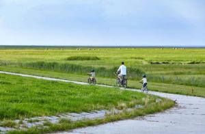 Een man en twee kinderen fietsen over een onverharde weg. bij Die-perfekte-Ferienvilla in Butjadingen