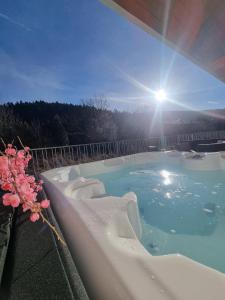 Swimmingpoolen hos eller tæt på Kasztanowy Zakątek