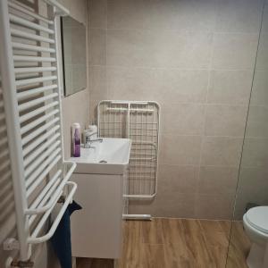 a bathroom with a sink and a toilet at Agroturystyka u Janosika in Bozkow
