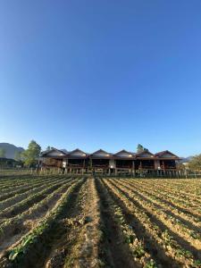 a farm with a building in the middle of a field at Guesthouse and Restaurant SayLomYen KongLor in Ban Dôn