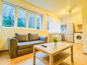a living room with a couch and a table at Appartement lumineux à Royat in Royat