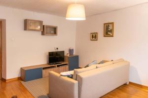 un soggiorno con un divano e una TV di Casa tipica nelle Dolomiti Trentine a Mezzano