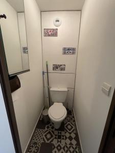 a small bathroom with a toilet in it at Studio Buron des Gardes in Le Lioran