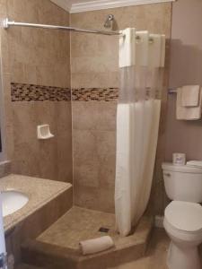 a bathroom with a shower and a toilet and a sink at Lotus of Lompoc - A Great Hospitality Inn in Lompoc