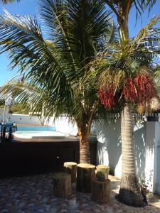 dos palmeras con taburetes frente a una piscina en Magia do Mar Hostel, en Florianópolis
