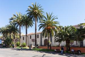 a group of palm trees in front of a building at Apartamento Retama Laguna Centro in Las Lagunas