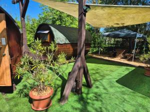 een tuin met een tent en een potplant bij Mini Hotel Übernachten Im Gurkenfass in Lübbenau