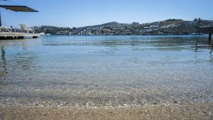 Naturlandskabet i nærheden af hotellet