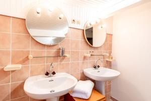 een badkamer met een wastafel en een spiegel bij L'escapade d'Etretat in La Celle-sous-Gouzon +38 foto's