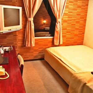 a bedroom with a bed and a desk and a television at Hotel Tsubame Hills in Tsubame