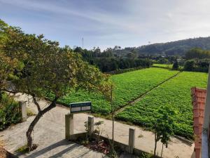 a bench sitting next to a field of crops at Nest Homestay in Cat Tien