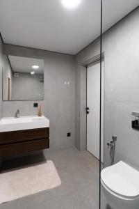 een badkamer met een wastafel, een toilet en een spiegel bij Нова Дача 