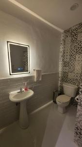 a bathroom with a sink and a toilet at Luxury Suites Seoul Consulado in Zaragoza